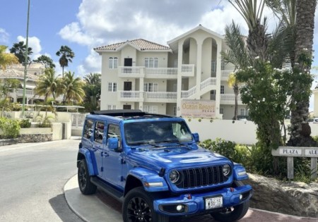 Jeep Wrangler Special Blue
